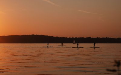7 принципів сап-серфінгу: основи для впевненого старту на воді