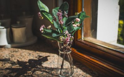 Доброе утро, весна: тёплые фразы, пожелания и сообщения для весеннего утра