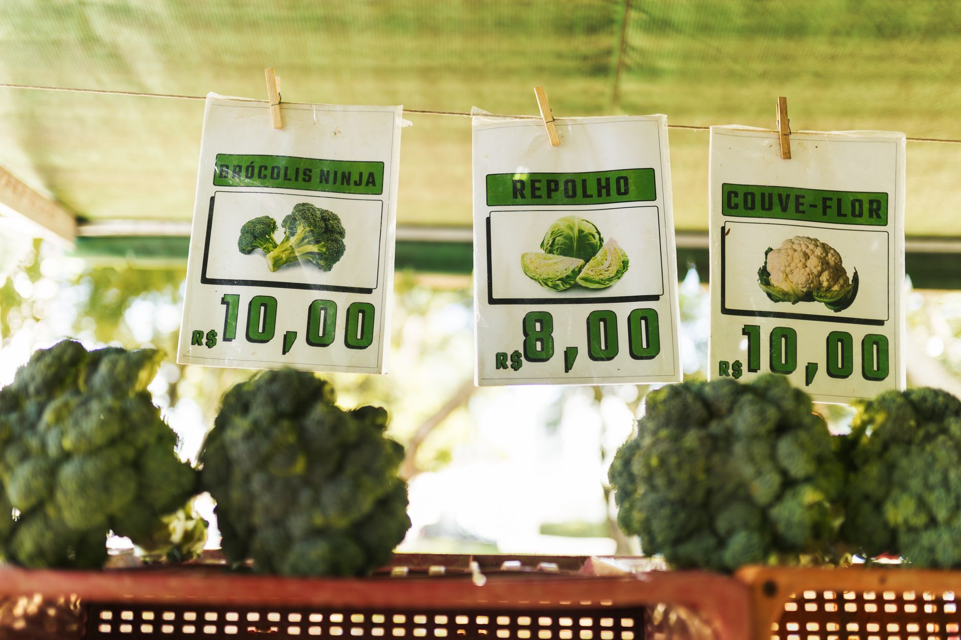 Як економити на продуктах без втрати якості: 12 порад
