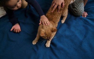 Як вибрати домашню тварину для родини: 7 питань