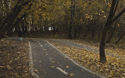 Інструкція: гуляти більше без зайвих витрат