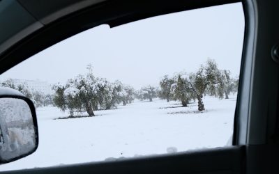 З першим днем зими: 19 теплих привітань для рідних і друзів